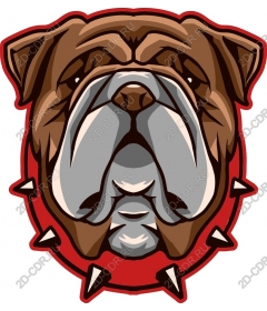  Ferocious bulldog