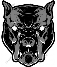  Ferocious bulldog