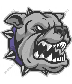 Bulldog: Fierce