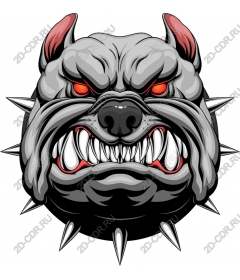  Ferocious bulldog