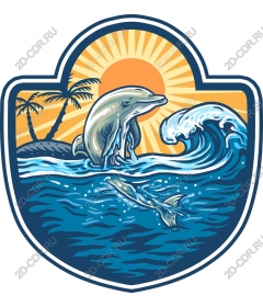 Tropical Dolphin at sunset