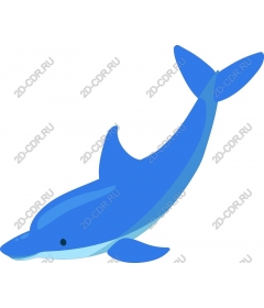  Blue Dolphin