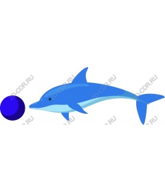 Playful Dolphin