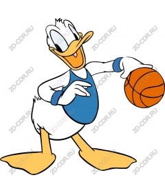 Playful duck basketball