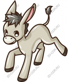 Playful donkey