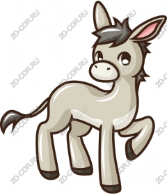 Playful donkey