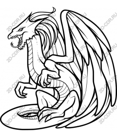 Majestic dragon - High quality
