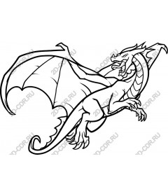 Majestic dragon