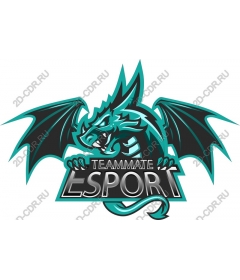  Teammate Esport Dragon
