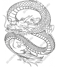 Majestic dragon