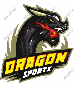 Dragon sport