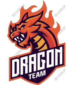  Team logo Dragon
