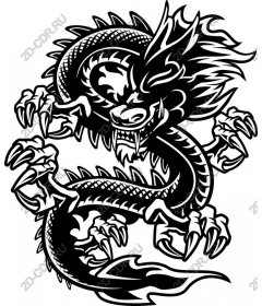  Black Dragon