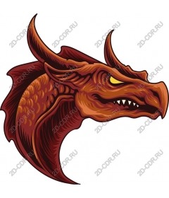 Head of a ferocious dragon