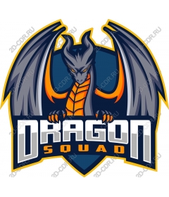  Squad Dragons