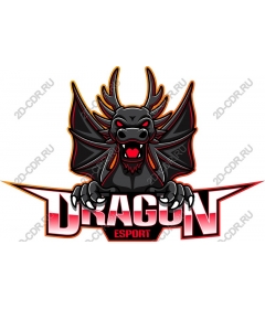 Dragon ESports