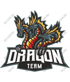  Team Dragon