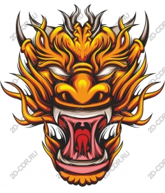  The majestic head of a dragon