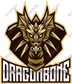 Work from dragon bones