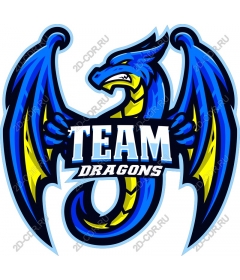  Team Dragons
