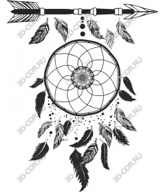  Delicate Dreamcatcher with feathers and arrow