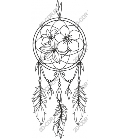  Dream catcher flora