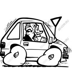  Joyful driver in the car