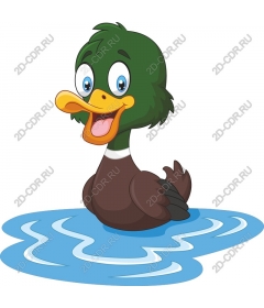 Funny cartoon duck