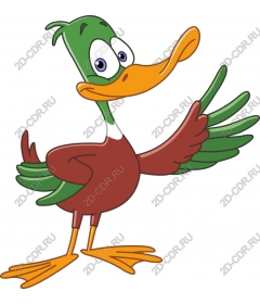  Colorful cartoon duck