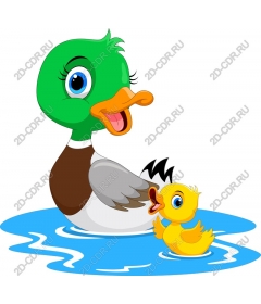  Charming Duo of ducks