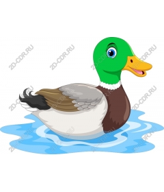  Adorable cartoon duck
