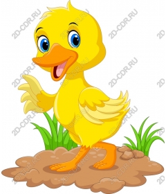 Adorable cartoon duck