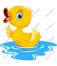  Charming yellow duck