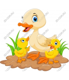  Cute duck family