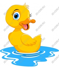  Funny cartoon duck