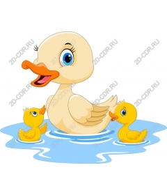  Charming mother duck and ducklings