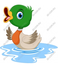  Funny cartoon duck