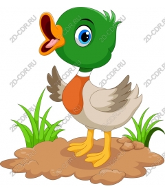  Funny cartoon duck
