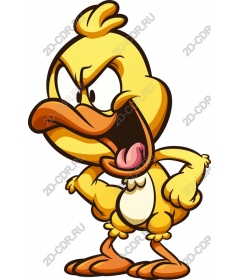 Sassy yellow chick