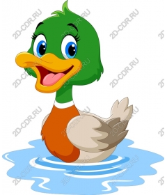  Funny cartoon duck