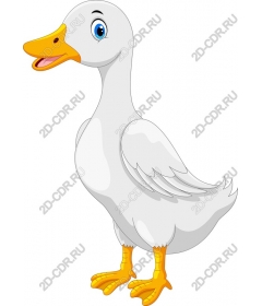  Funny cartoon duck