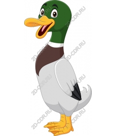 Adorable cartoon duck