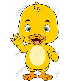  Funny cartoon duck