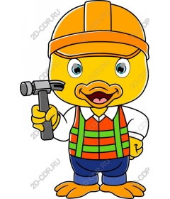  Building a duck