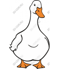  Adorable cartoon duck
