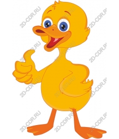 Funny cartoon duck