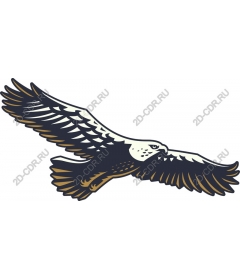 Majestic Eagle
