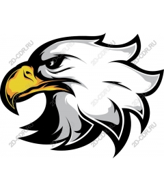 Head Of An Eagle