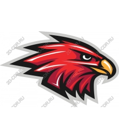  A Fierce Hawk