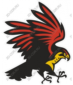  Bright eagle